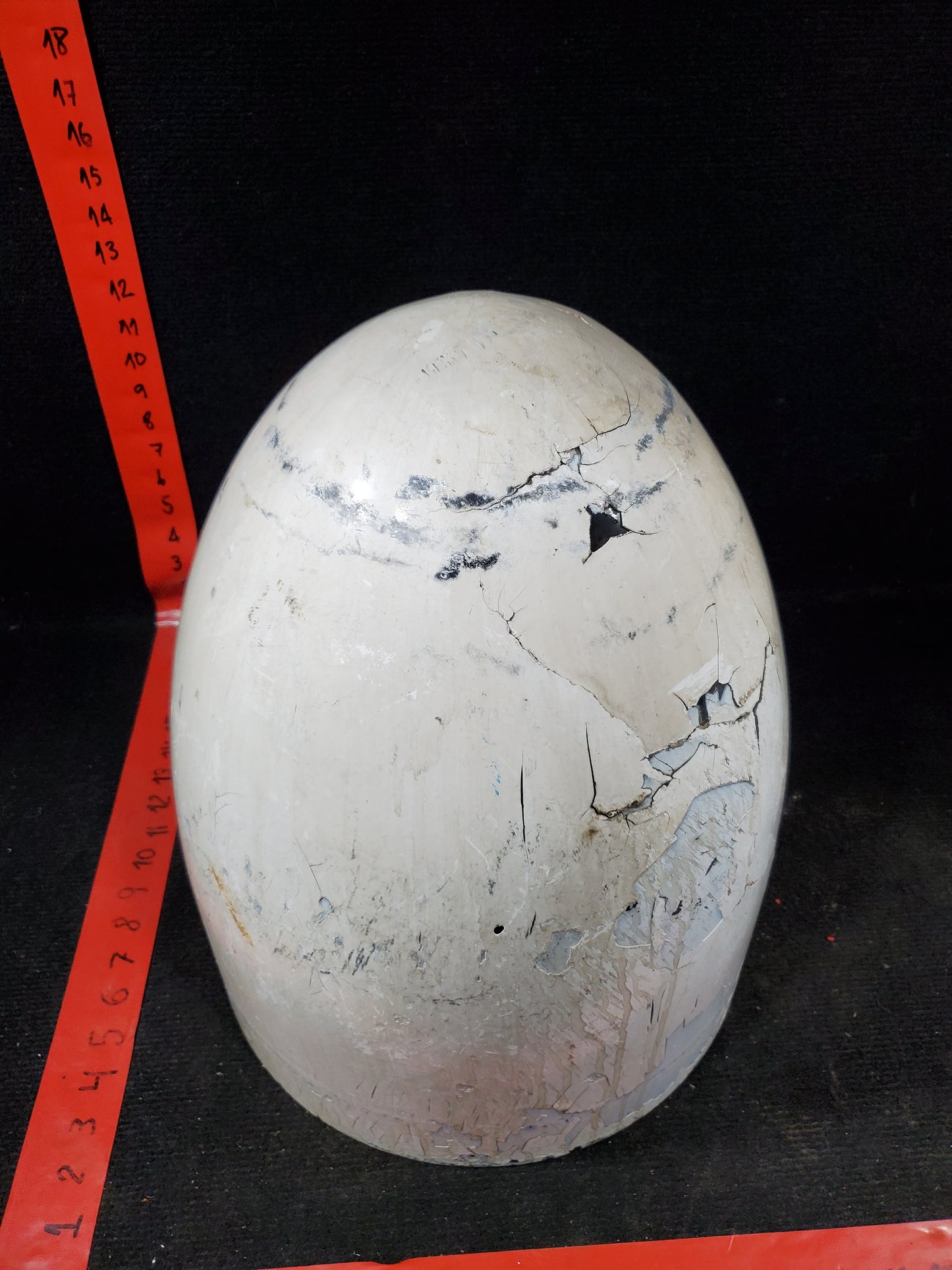 Radome - Cessna - 5Y-BUC