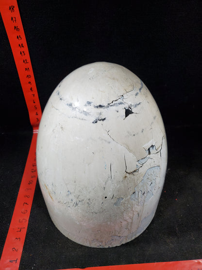 Radome - Cessna - 5Y-BUC