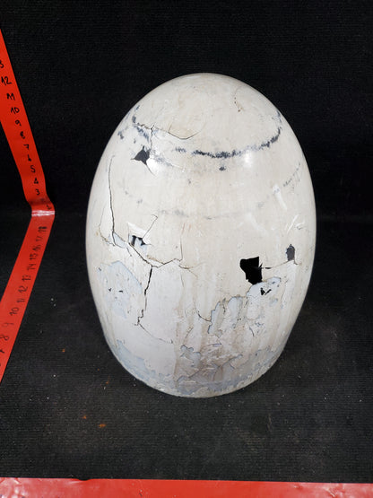 Radome - Cessna - 5Y-BUC