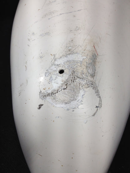 Tail Cone Assy - Lower - C-FXXQ