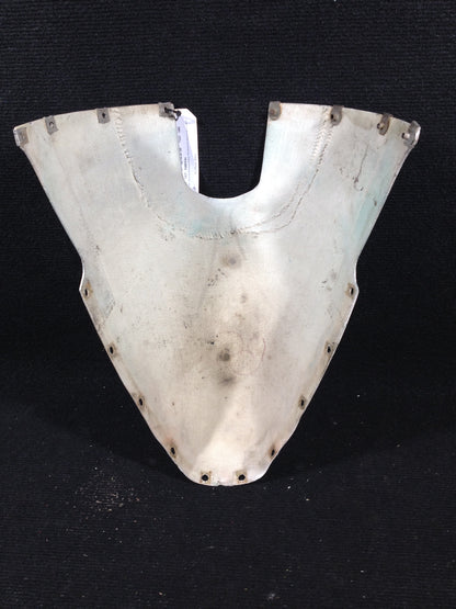 Tail Cone Assy - Upper - C-FXXQ