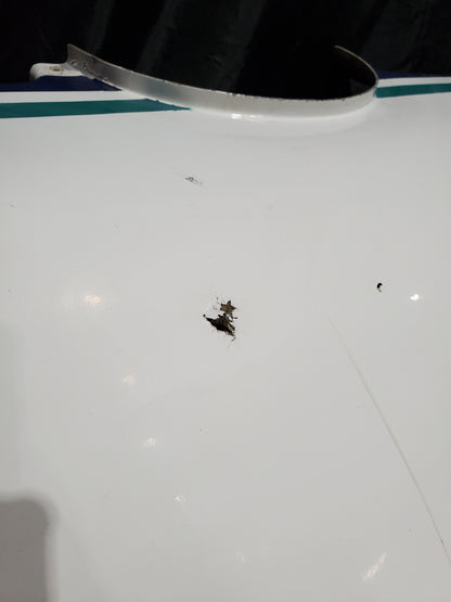 Engine Cowl - Lower - Stene Aviation - 5Y-FOO