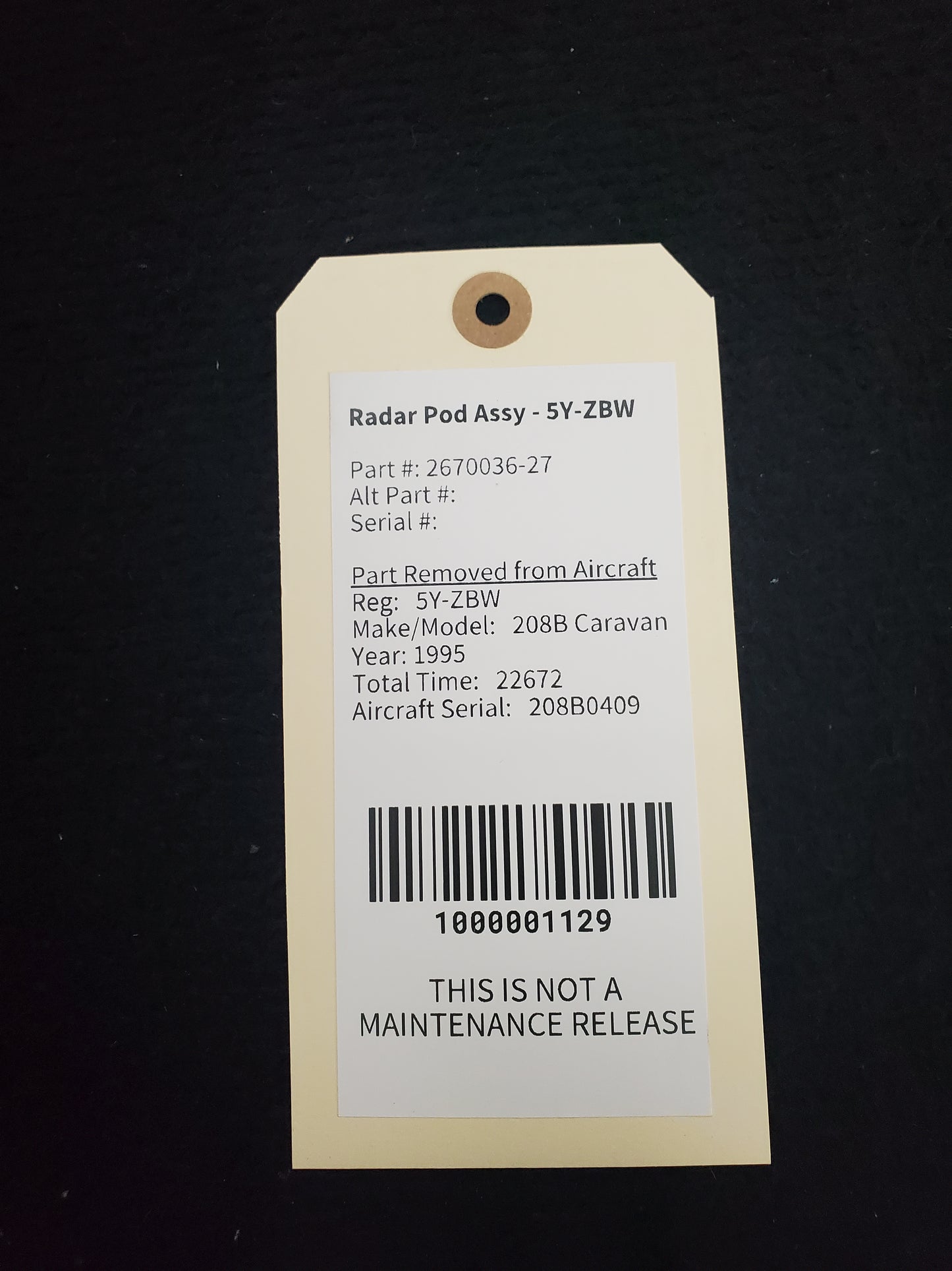 Radar Pod Assy - 5Y-ZBW