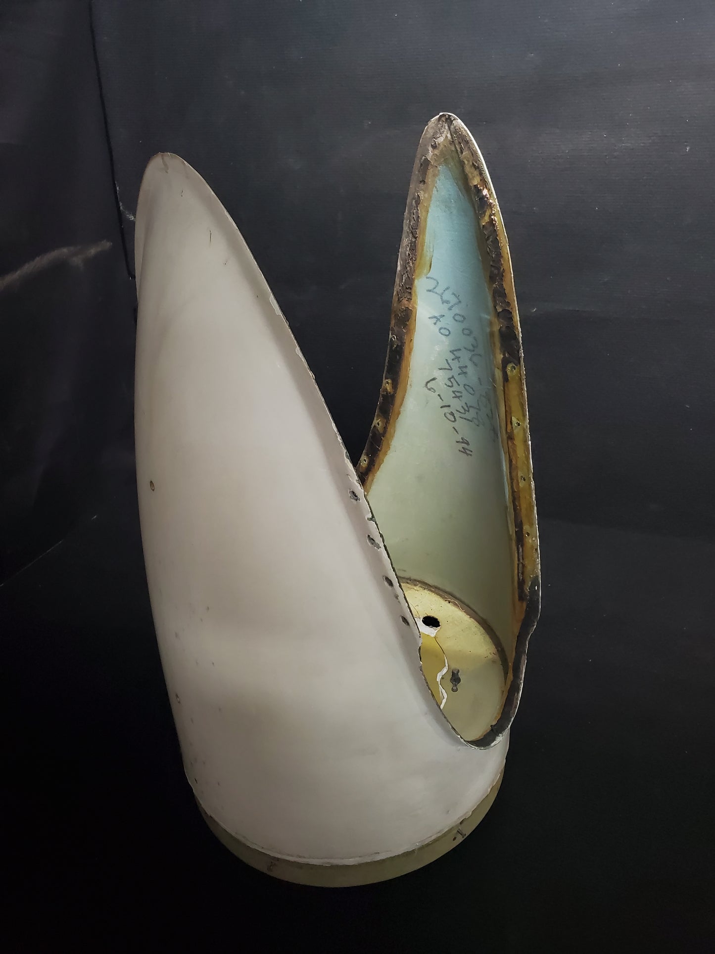 Radar Pod Assy - 5Y-ZBW